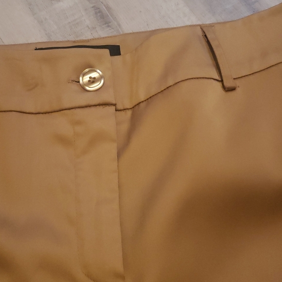 Golden Slacks - Picture 2 of 3